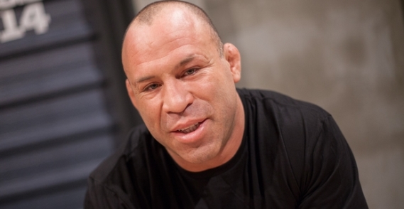 Вандерлей Силва