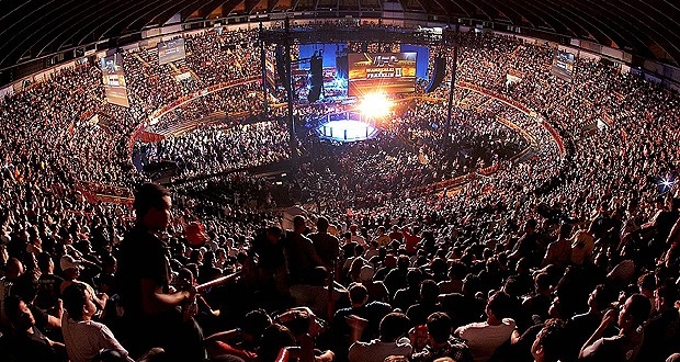 ufc_2482406b