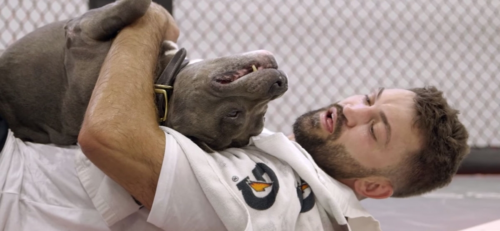UFC 191 Embedded